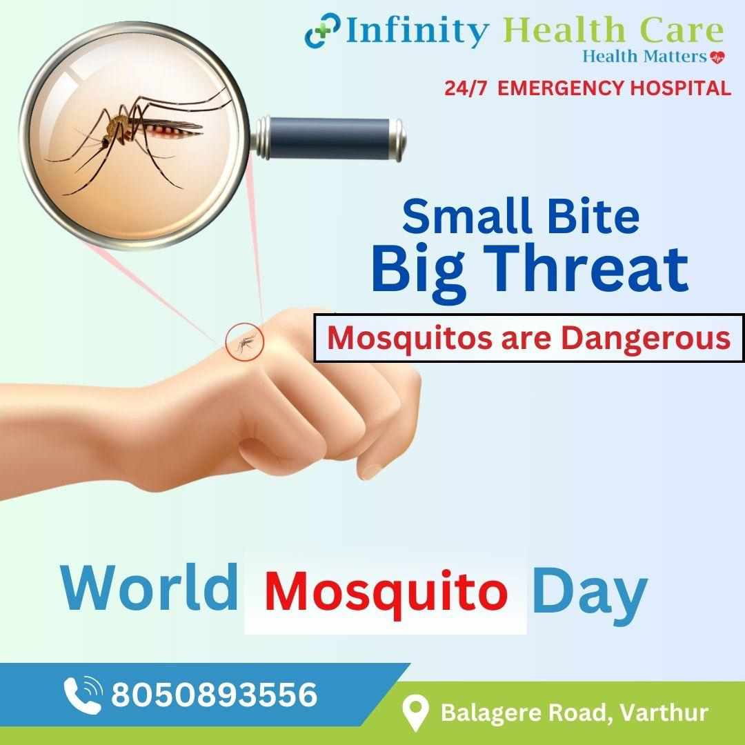 WORLD MOSQUITO DAY